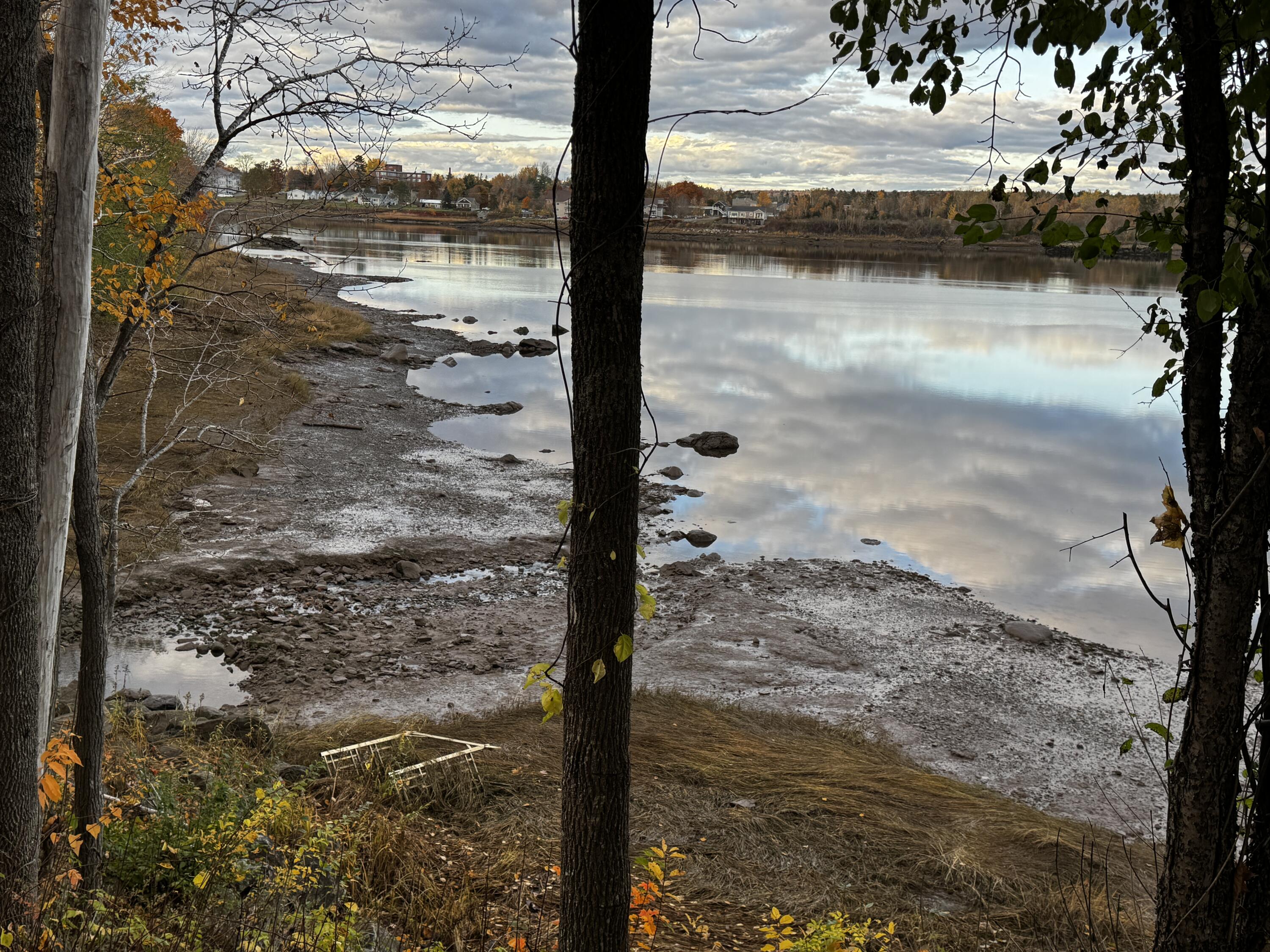 704 Main Street Calais, ME 04619 - Photo 10 of 55 IMG_1998