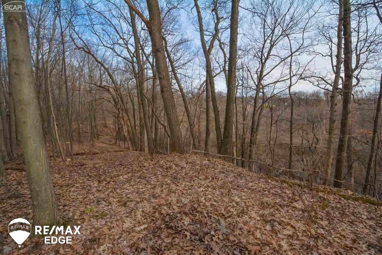 0 Timberwolf Court Fenton, MI 48430 - Photo 7 of 8