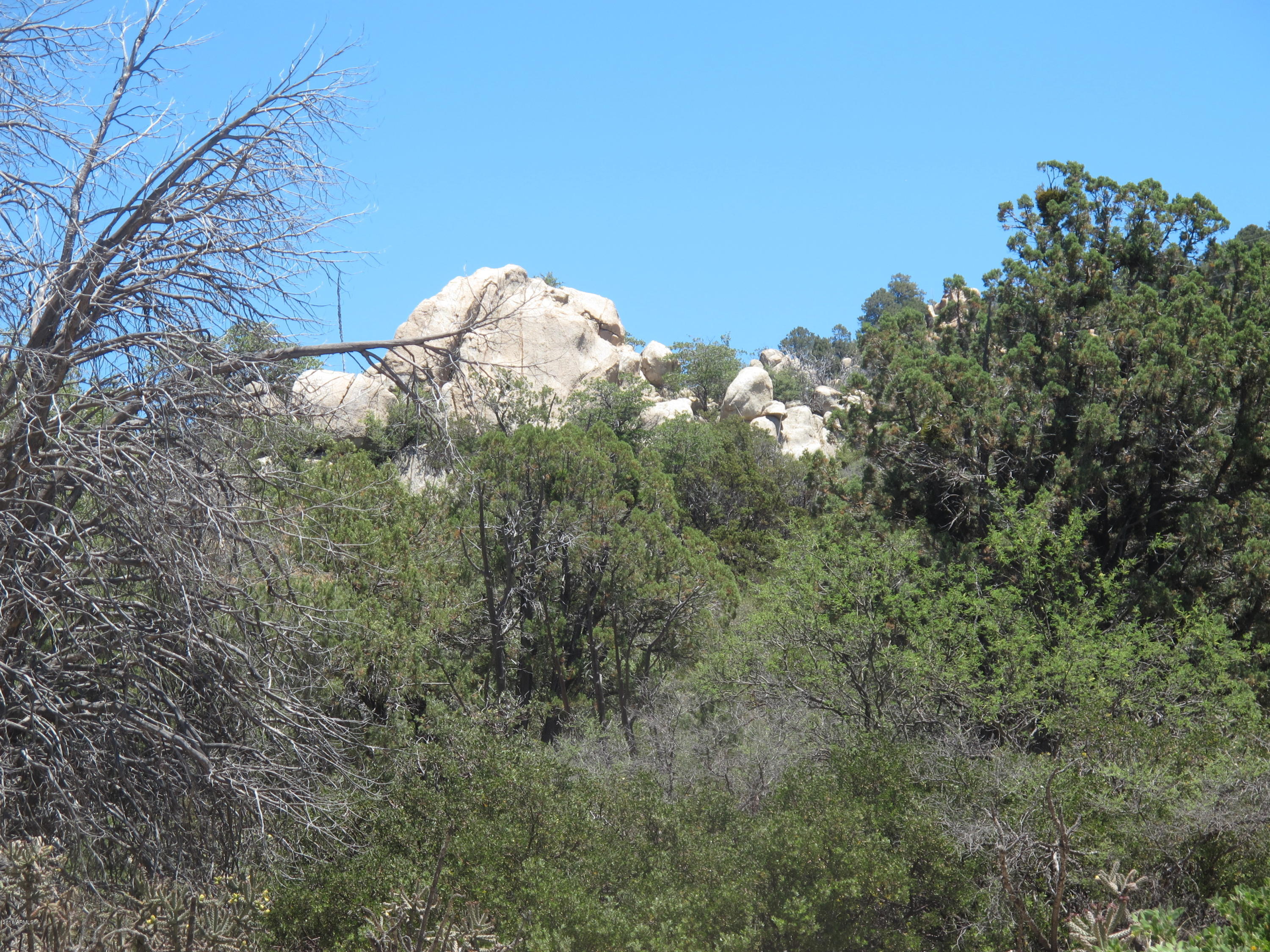 0 South Hutton Peak Road Phoenix, AZ 85016 - Photo 4 of 6 IMG_5248