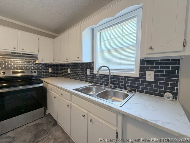 250 Trapper Run Lane Clinton, NC 28328 - Photo 8 of 22 a kitchen with a sink and cabinets
