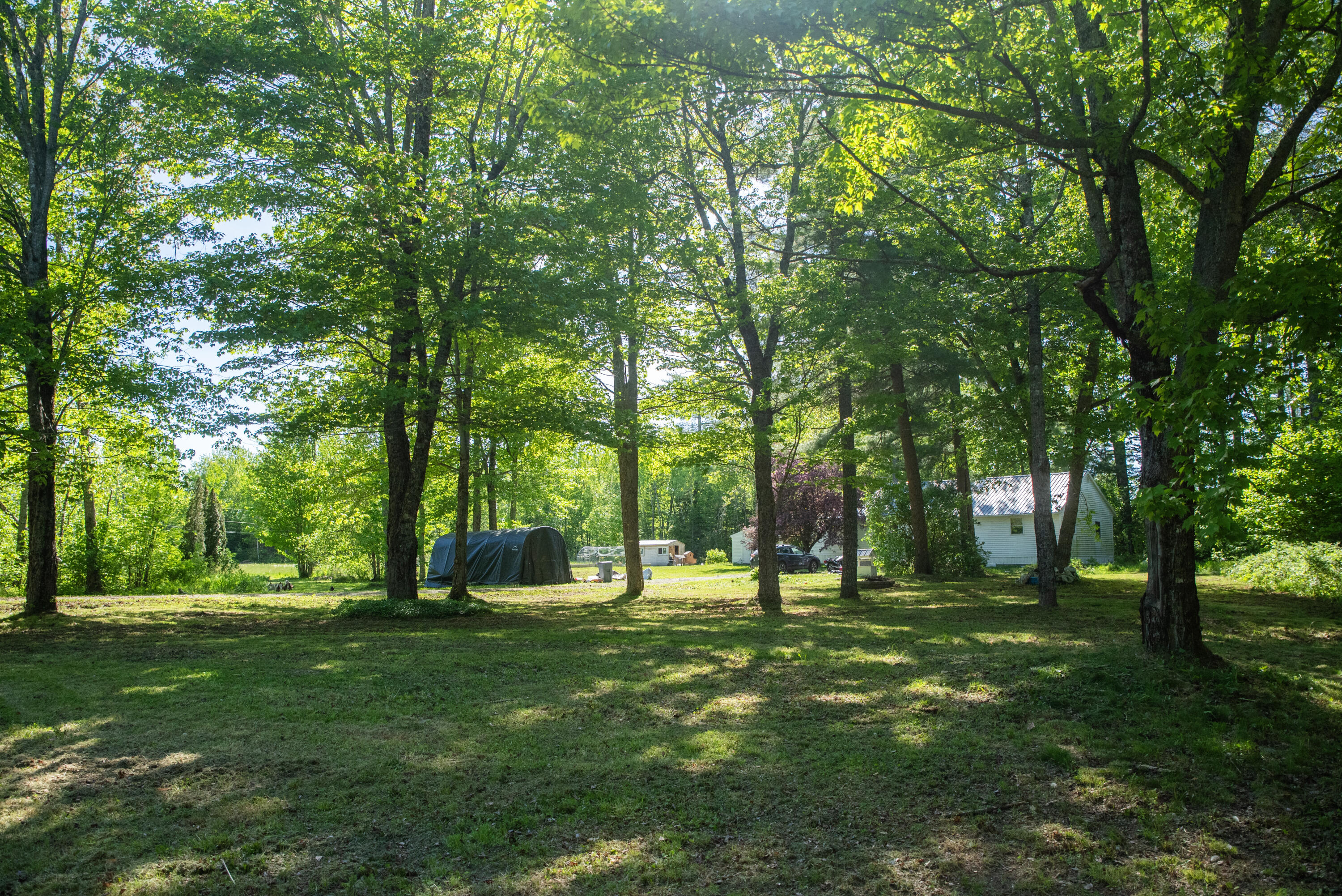 702 Storer Road Bradford, ME 04410 - Photo 33 of 39 View of Front Yard from Street 1