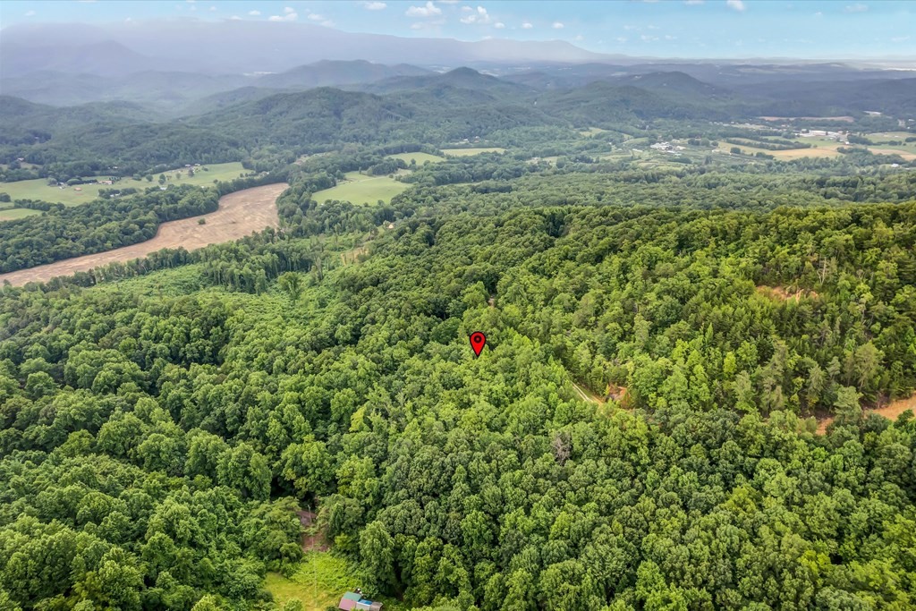 0 Green Forest Road Cosby, TN 37722 - Photo 28 of 35