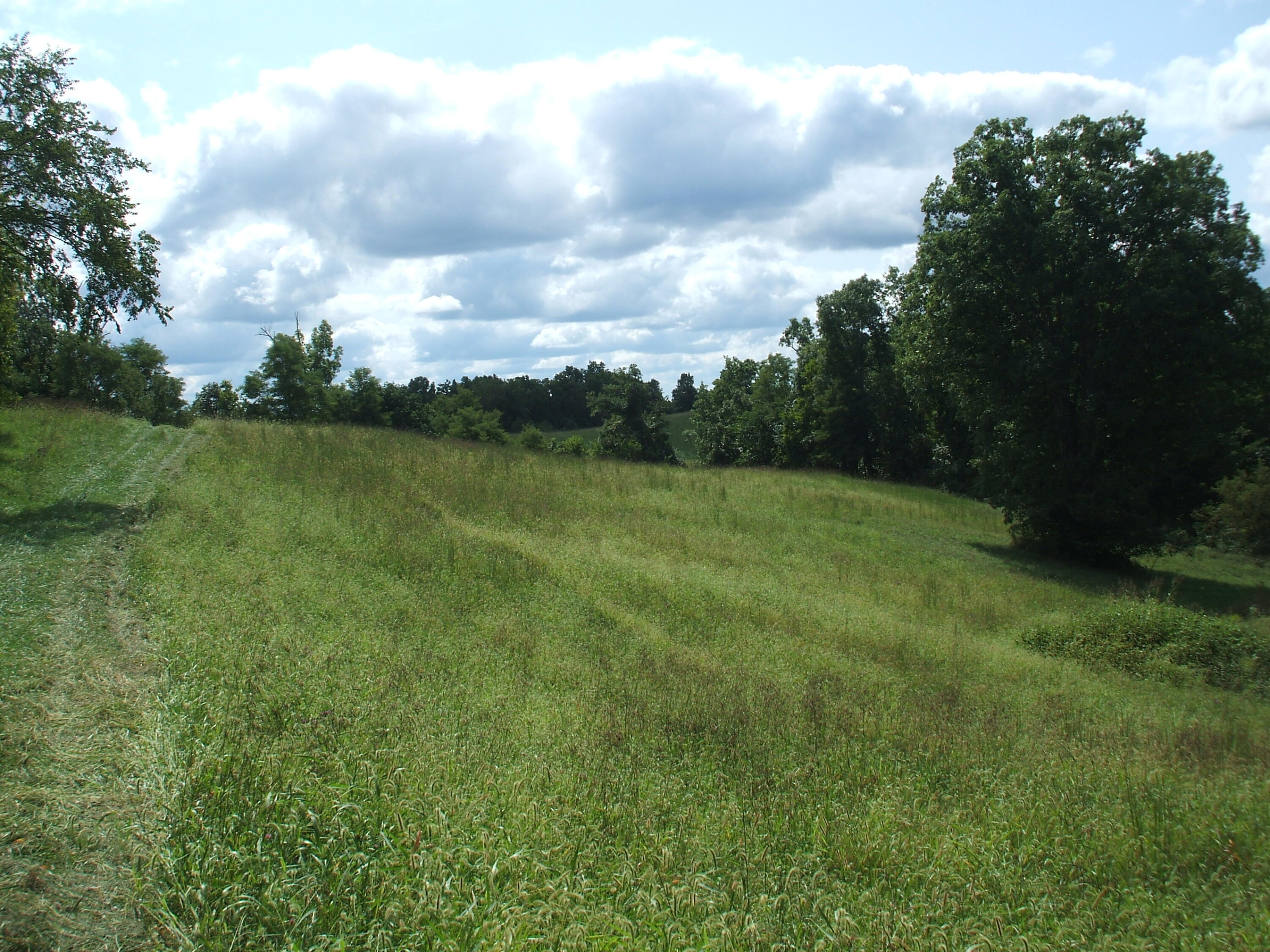1499 Kays Road Lawrenceburg, KY 40342 - Photo 3 of 9 DSCF7778