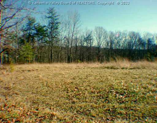 0 Mount Union Road Fraziers Bottom, WV 25082 - Photo 1 of 7 Land/Lot.