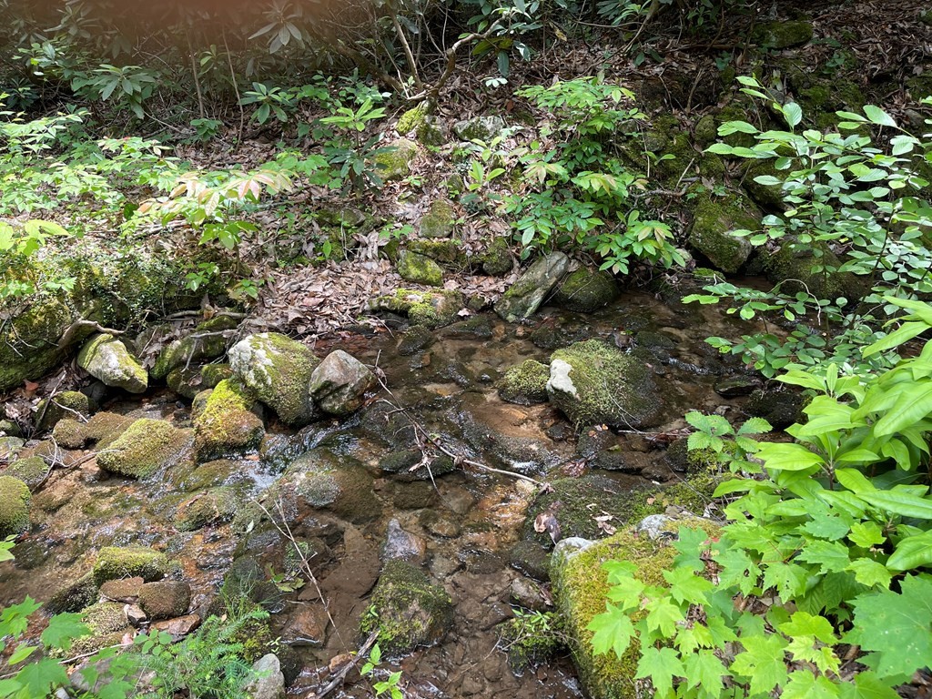 3394 Rocky Ridge Road Cosby, TN 37722 - Photo 29 of 58