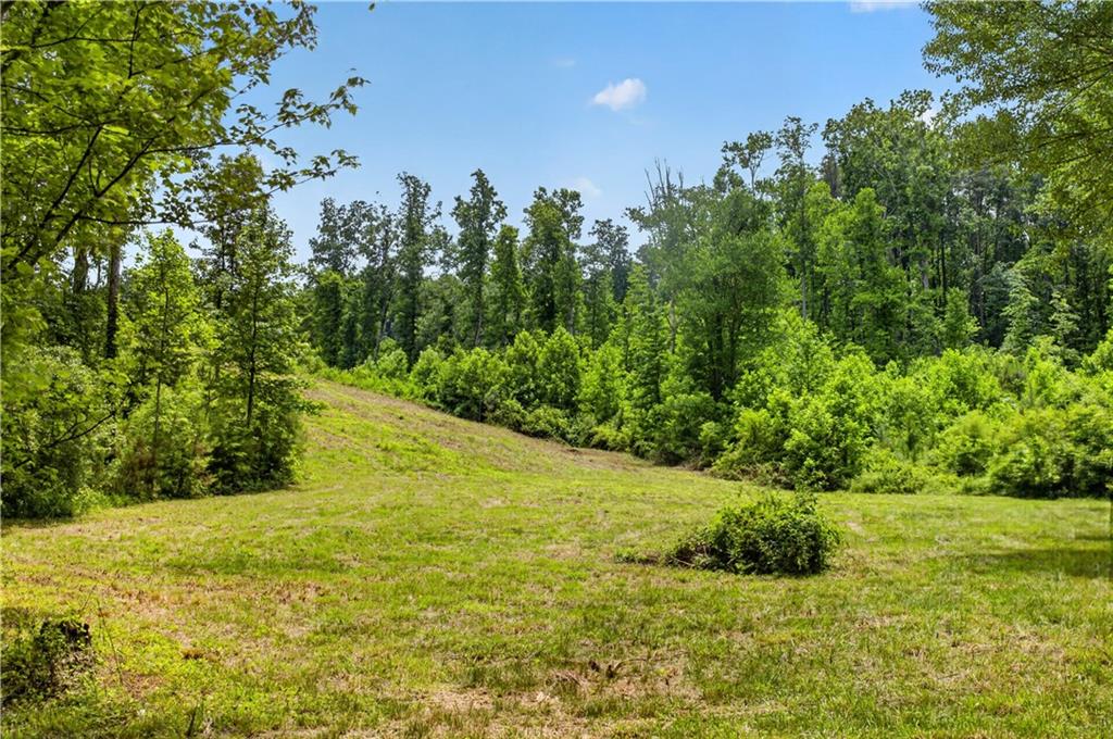 0 Parksbrook Road Ellijay, GA 30540 - Photo 39 of 67