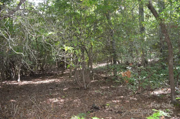 a view of outdoor space and trees