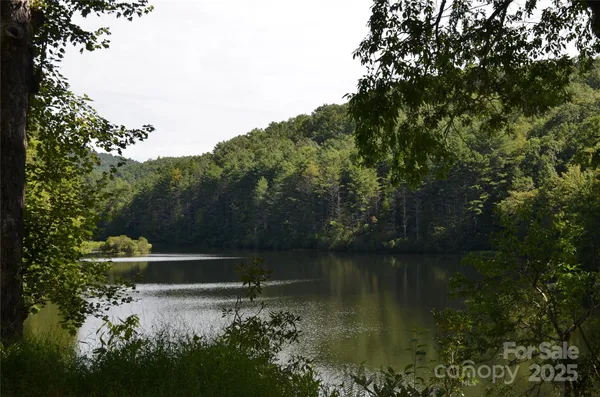 a view of a lake with a garden