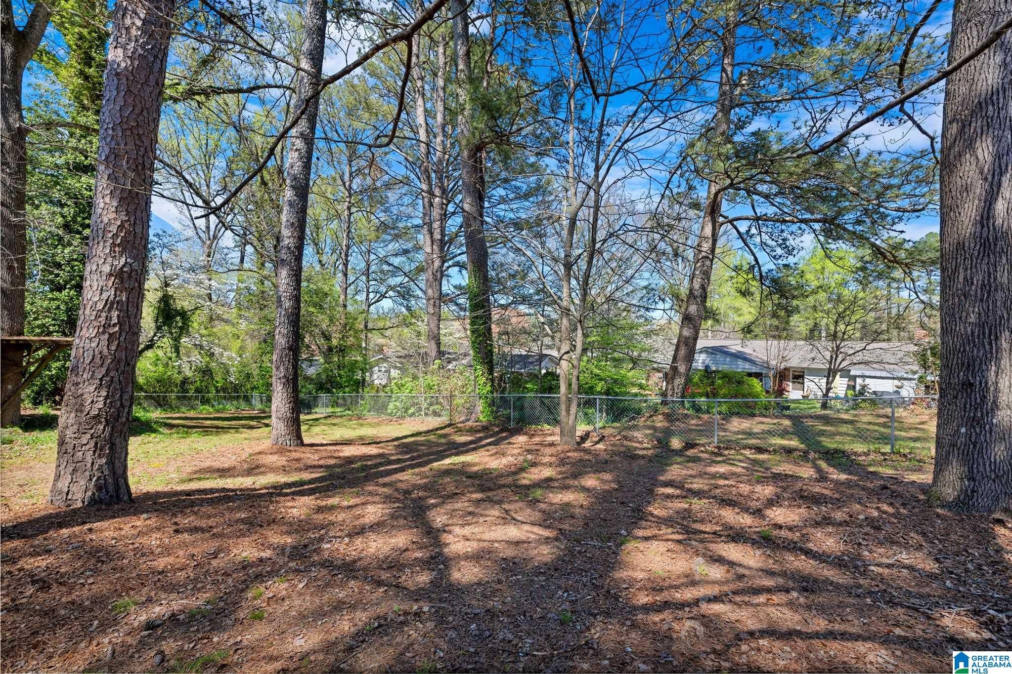 17 Grandview Drive Oneonta, AL 35121 - Photo 4 of 27