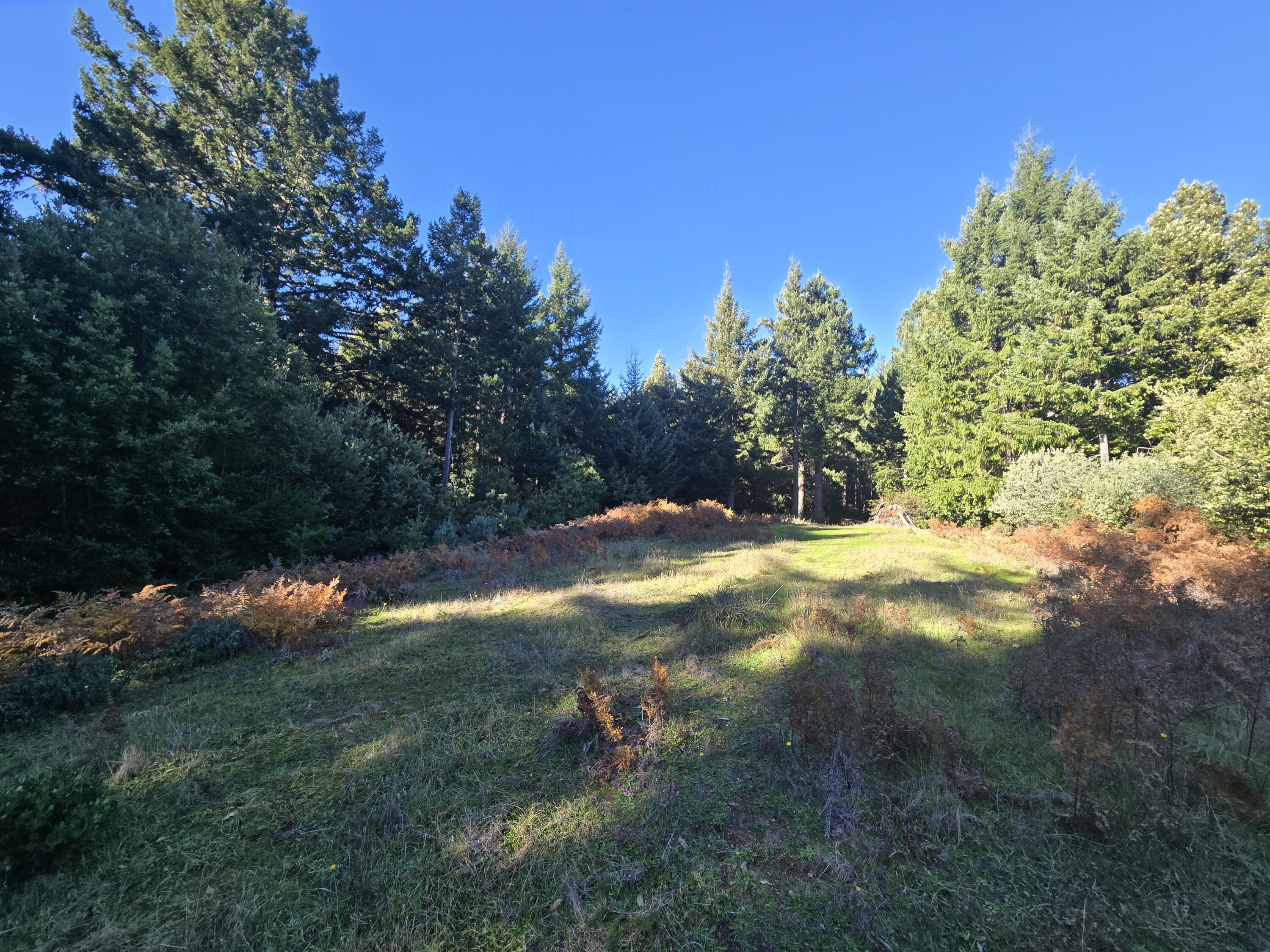 8750 Wilder Ridge Road Garberville, CA 95542 - Photo 15 of 70