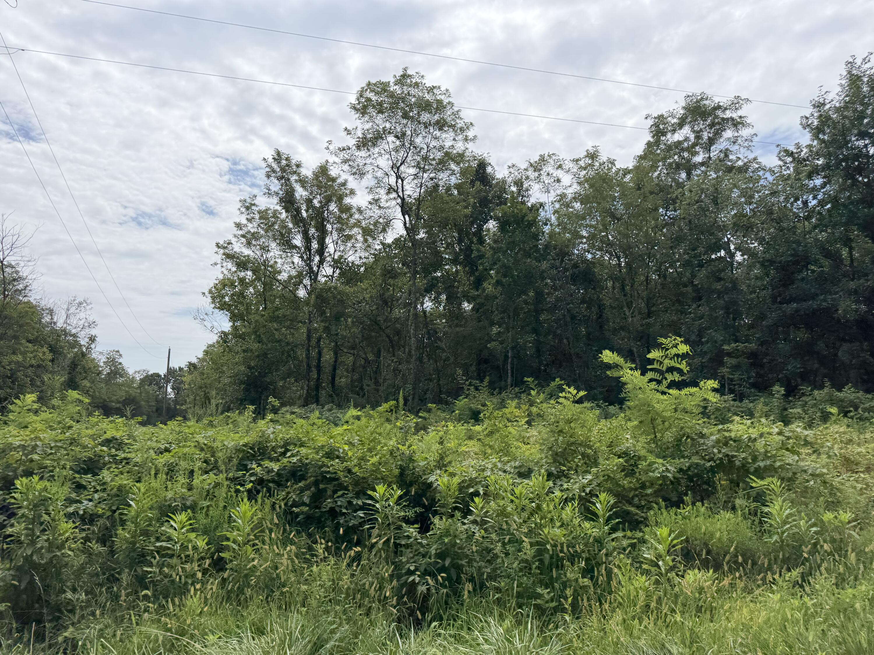 0 New Columbus Road Owenton, KY 40359 - Photo 14 of 18 IMG_5657