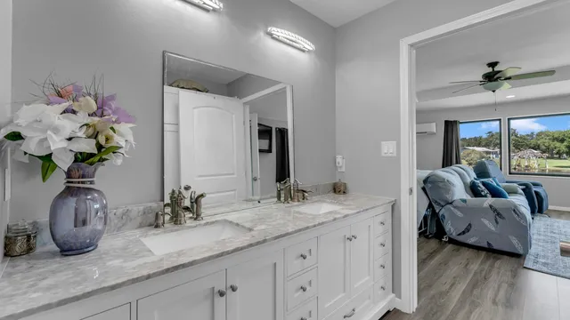 a bathroom with a granite countertop sink a potted plant and a large mirror