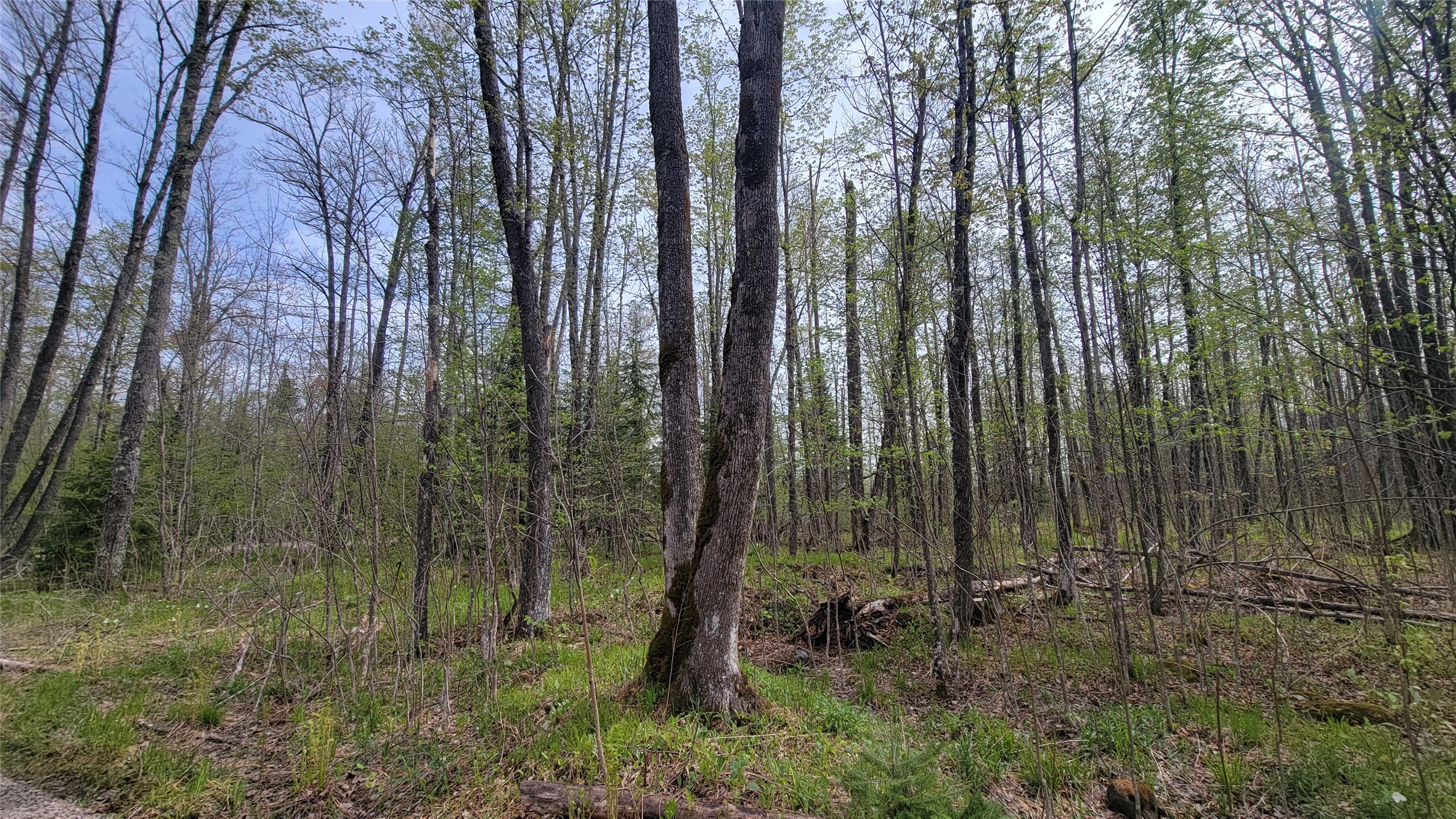 W10389 Fleming Road Park Falls, WI 54552 - Photo 21 of 29