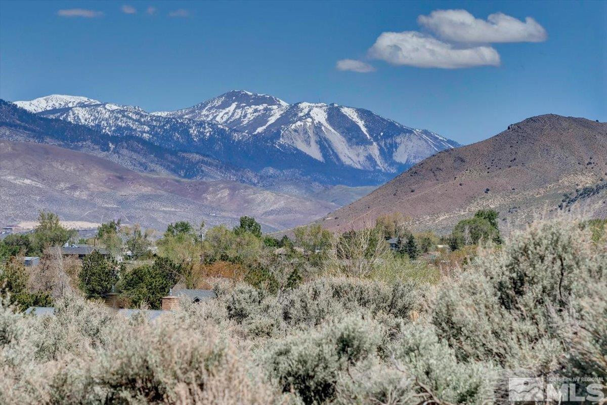 1700 Sunrise Pass Road Minden, NV 89423 - Photo 13 of 17 a view of a dry yard with trees in the background