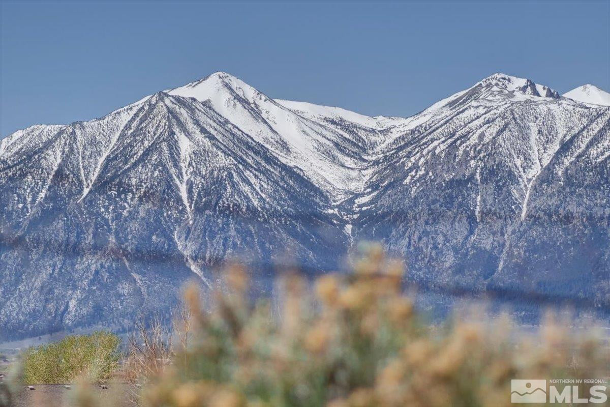 1700 Sunrise Pass Road Minden, NV 89423 - Photo 17 of 17 a view of a bed