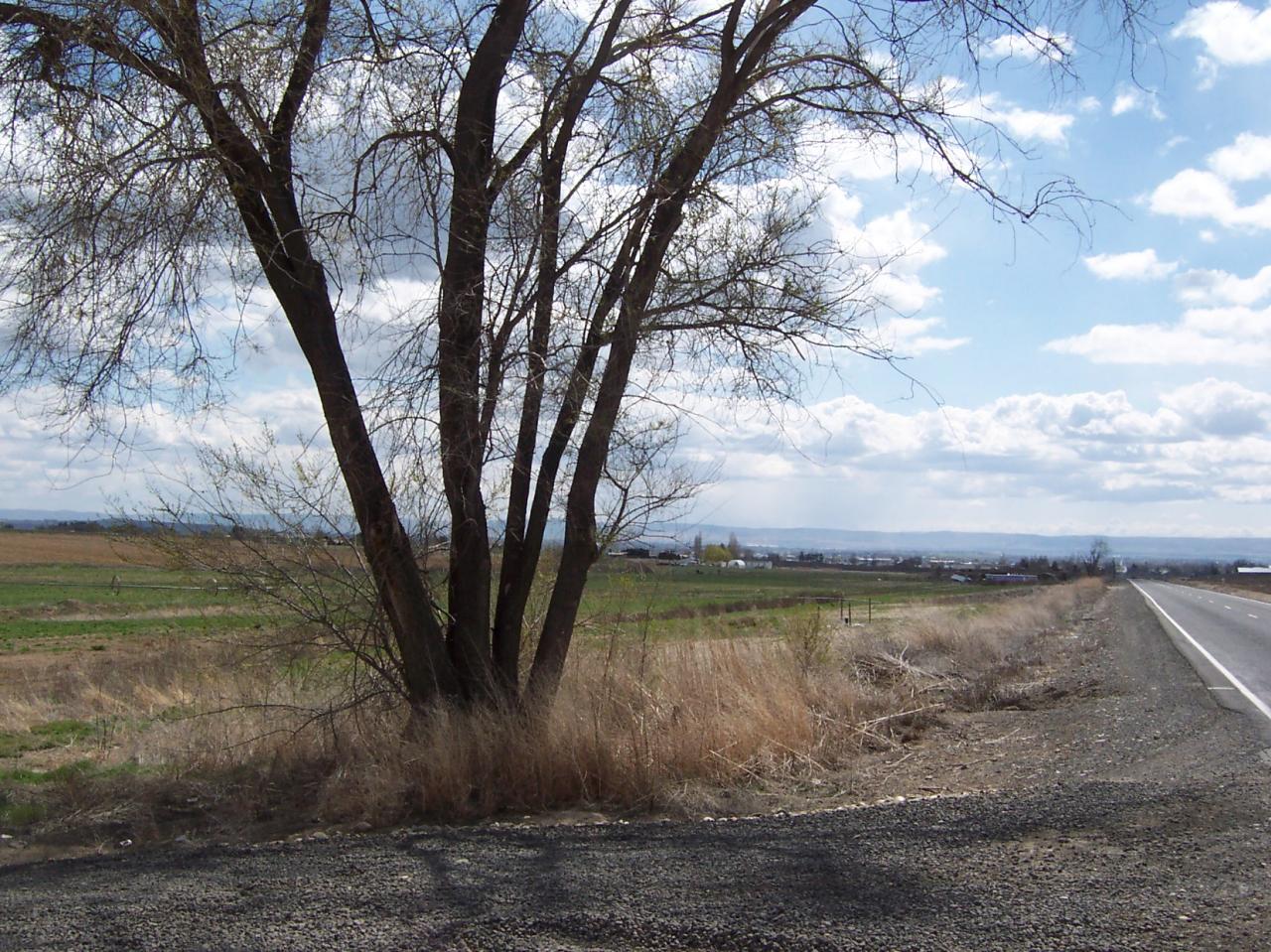 Nka Washout Road Sunnyside, WA 98944 - Photo 2 of 3 View from North
