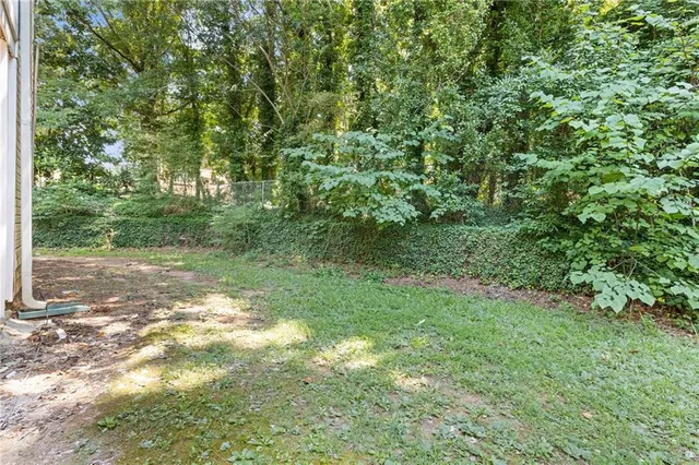 a view of a yard with a tree