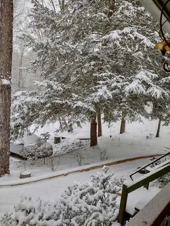 $399,900 | 124 Cold Branch Lane, Hayesville, NC 28904