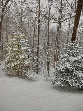 $399,900 | 124 Cold Branch Lane, Hayesville, NC 28904