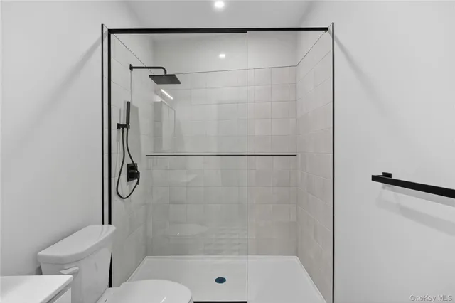 a bathroom with a shower and toilet