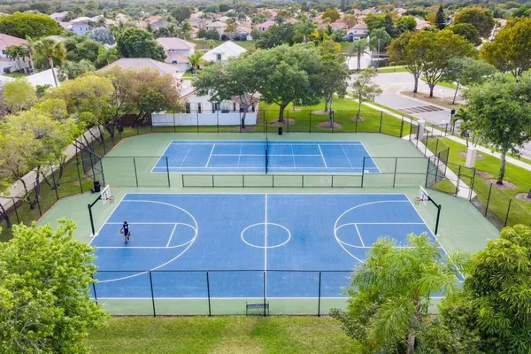 a view of a tennis ground with a large tree