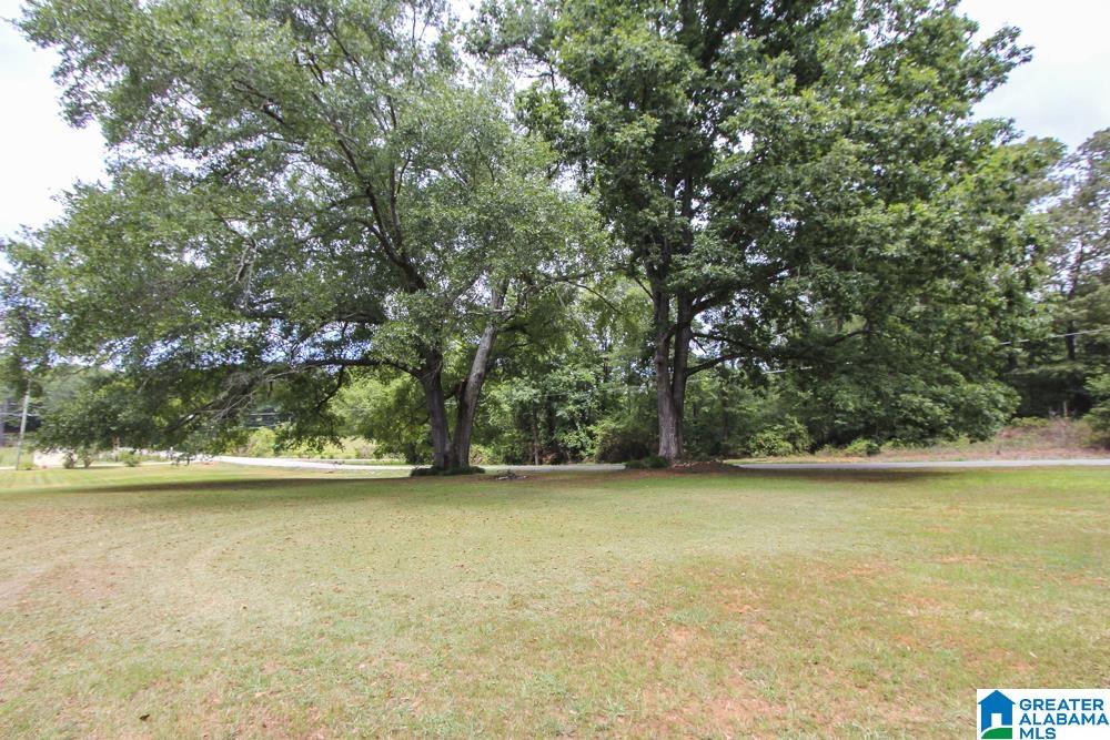 3974 Richeytown Road Oxford, AL 36203 - Photo 38 of 68