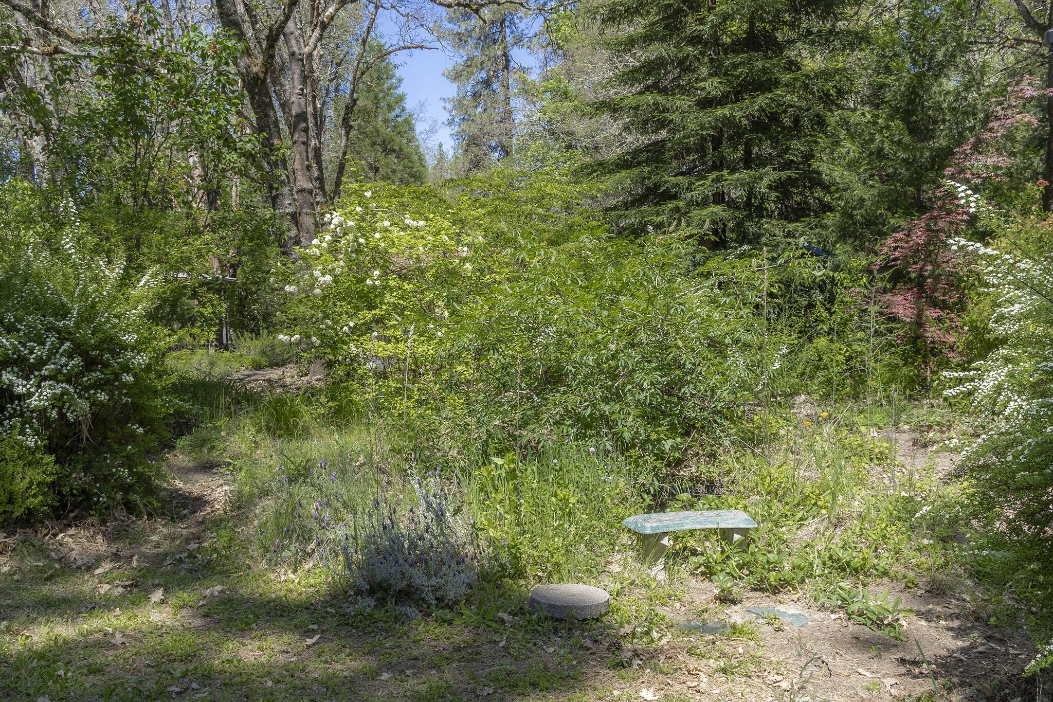 2601 Sand Creek Road Grants Pass, OR 97527 - Photo 55 of 71 54