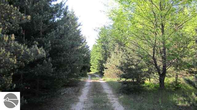 2545 West Trumbull Road Maple City, MI 49664 - Photo 12 of 22 1743393-11.JPG
