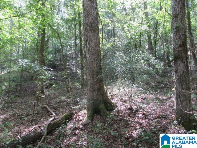 79 Highway 79, Unit 33 Cleveland, AL 35049 - Photo 23 of 32