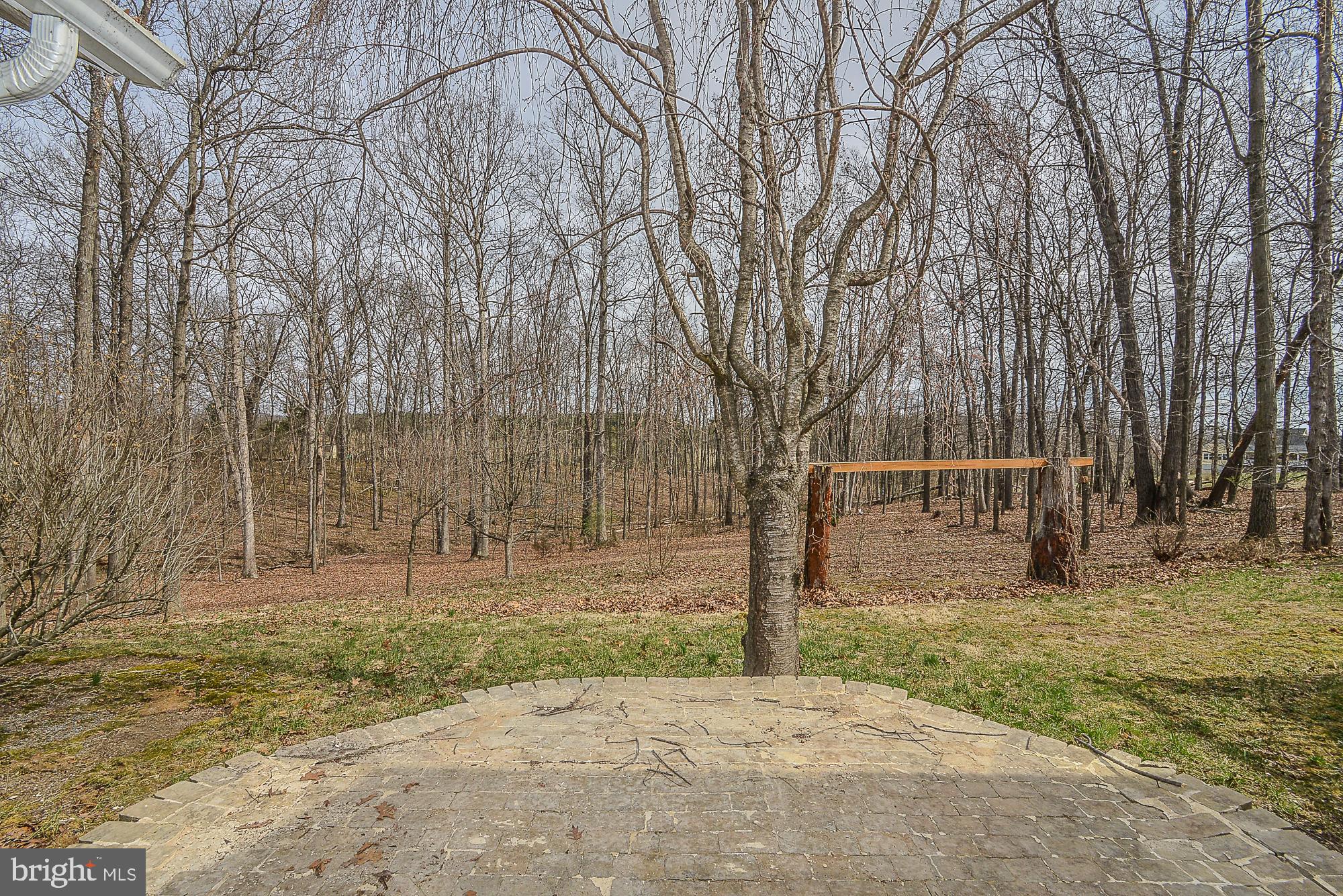 1295 Redbud Road Winchester, VA 22603 - Photo 51 of 56 Exterior Rear