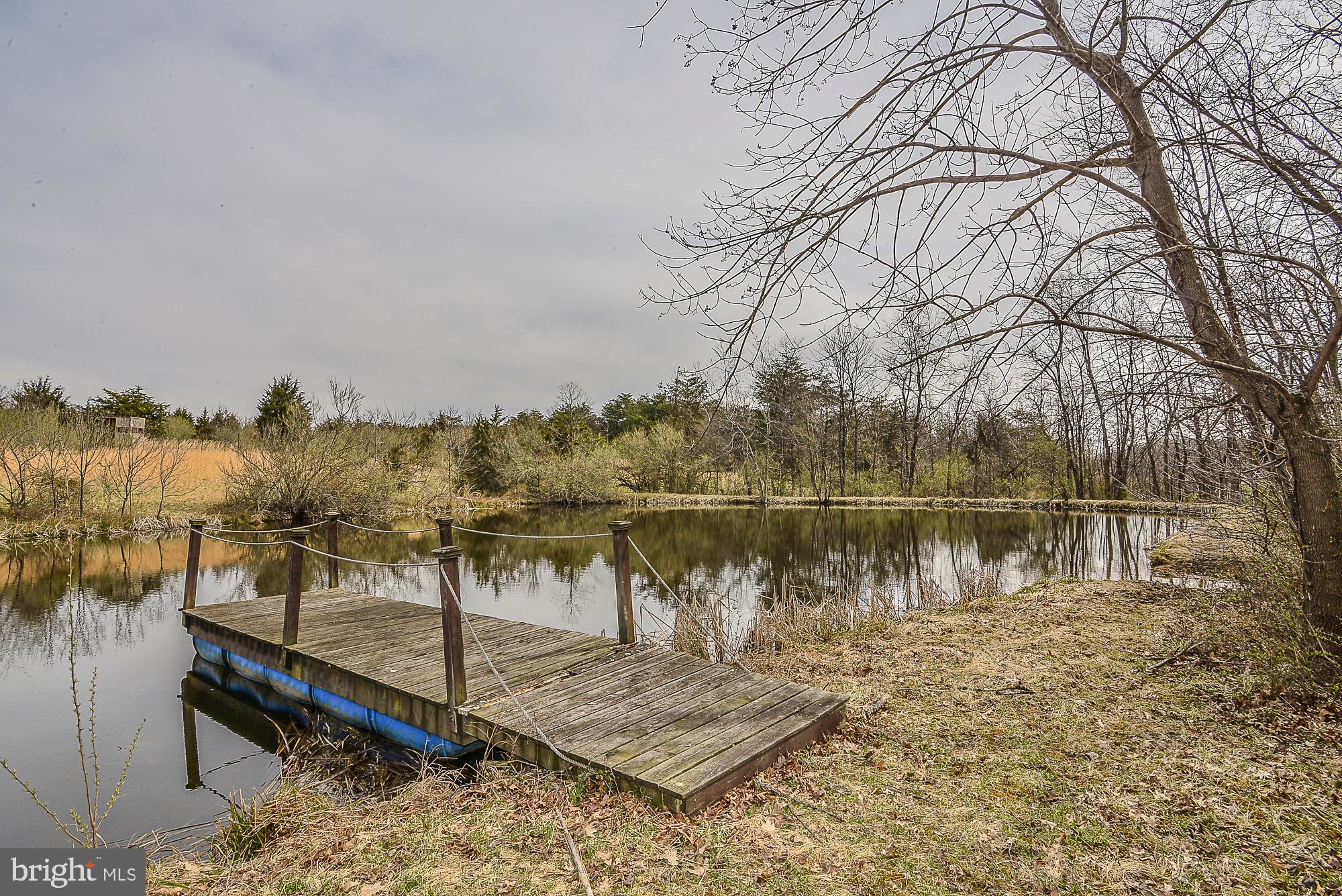 1295 Redbud Road Winchester, VA 22603 - Photo 52 of 56 Pond