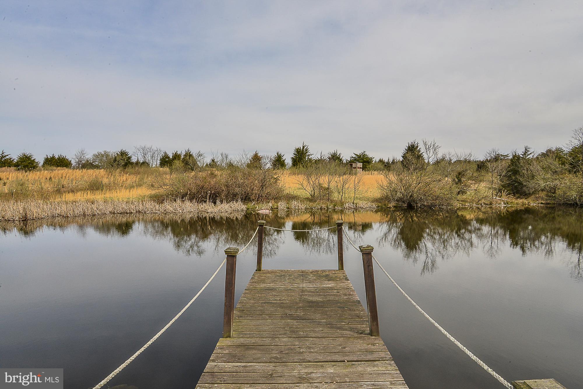 1295 Redbud Road Winchester, VA 22603 - Photo 53 of 56 Pond