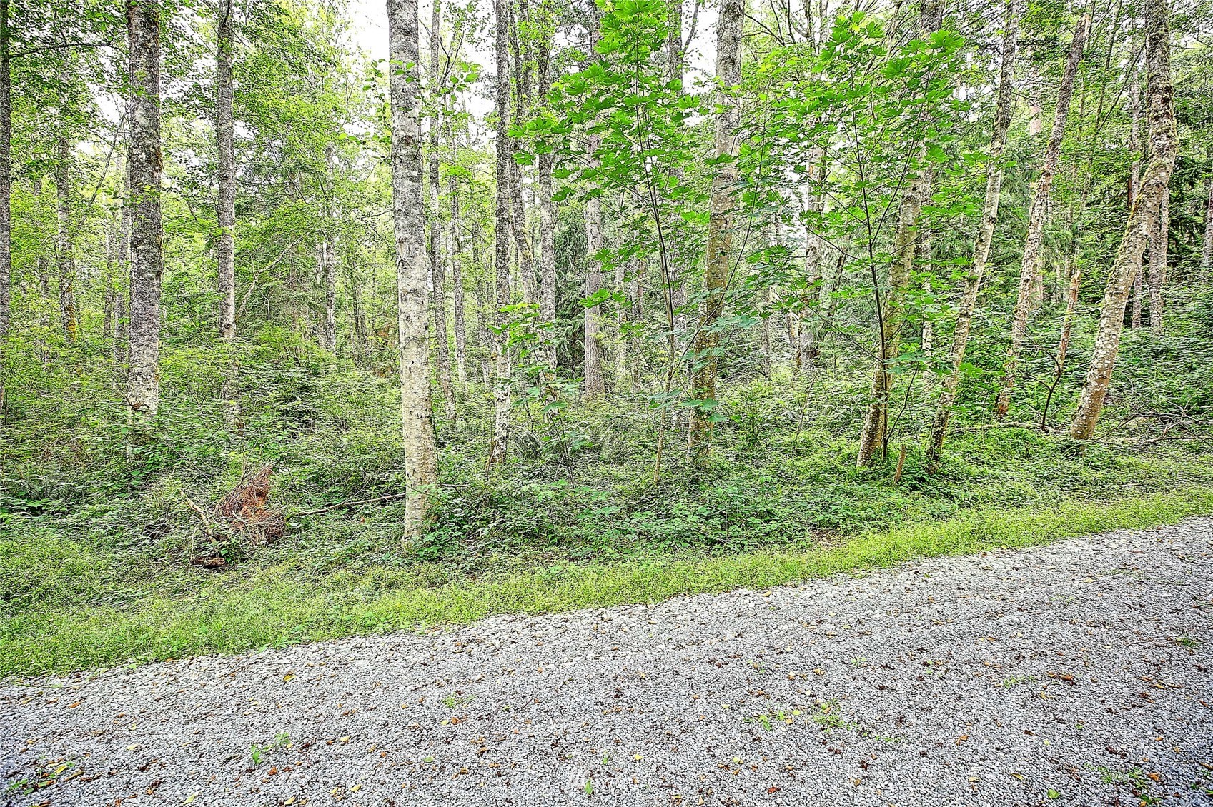 523 South Camano Ridge Road Camano Island, WA 98282 - Photo 11 of 16 Gallery Image 11