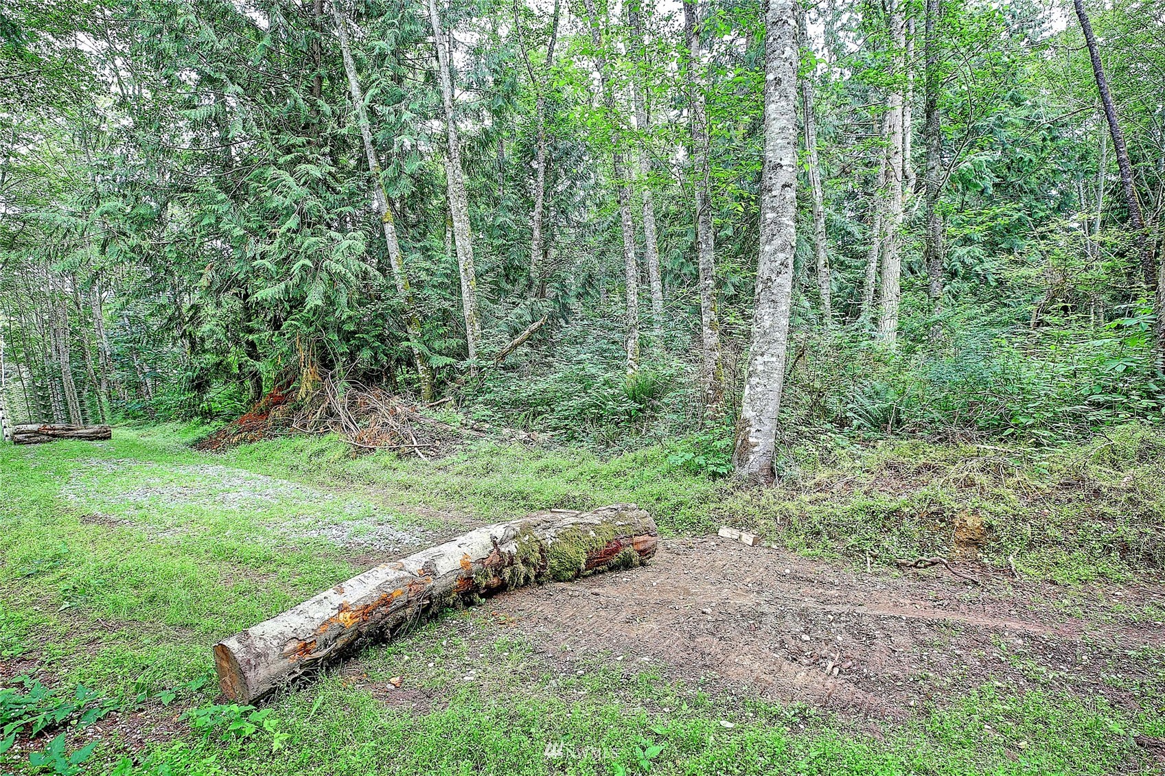 523 South Camano Ridge Road Camano Island, WA 98282 - Photo 8 of 16 Gallery Image 8