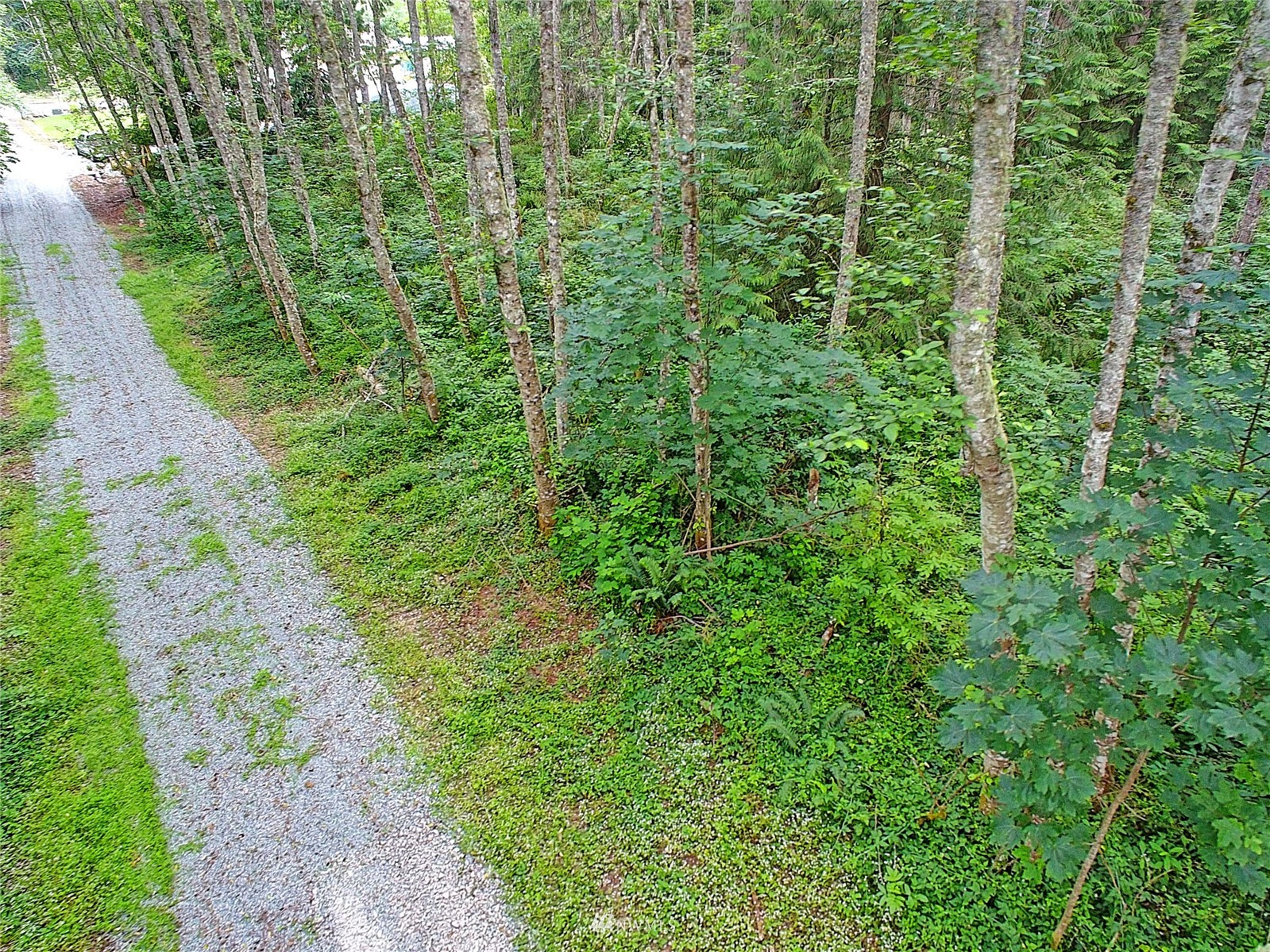 523 South Camano Ridge Road Camano Island, WA 98282 - Photo 9 of 16 Gallery Image 9