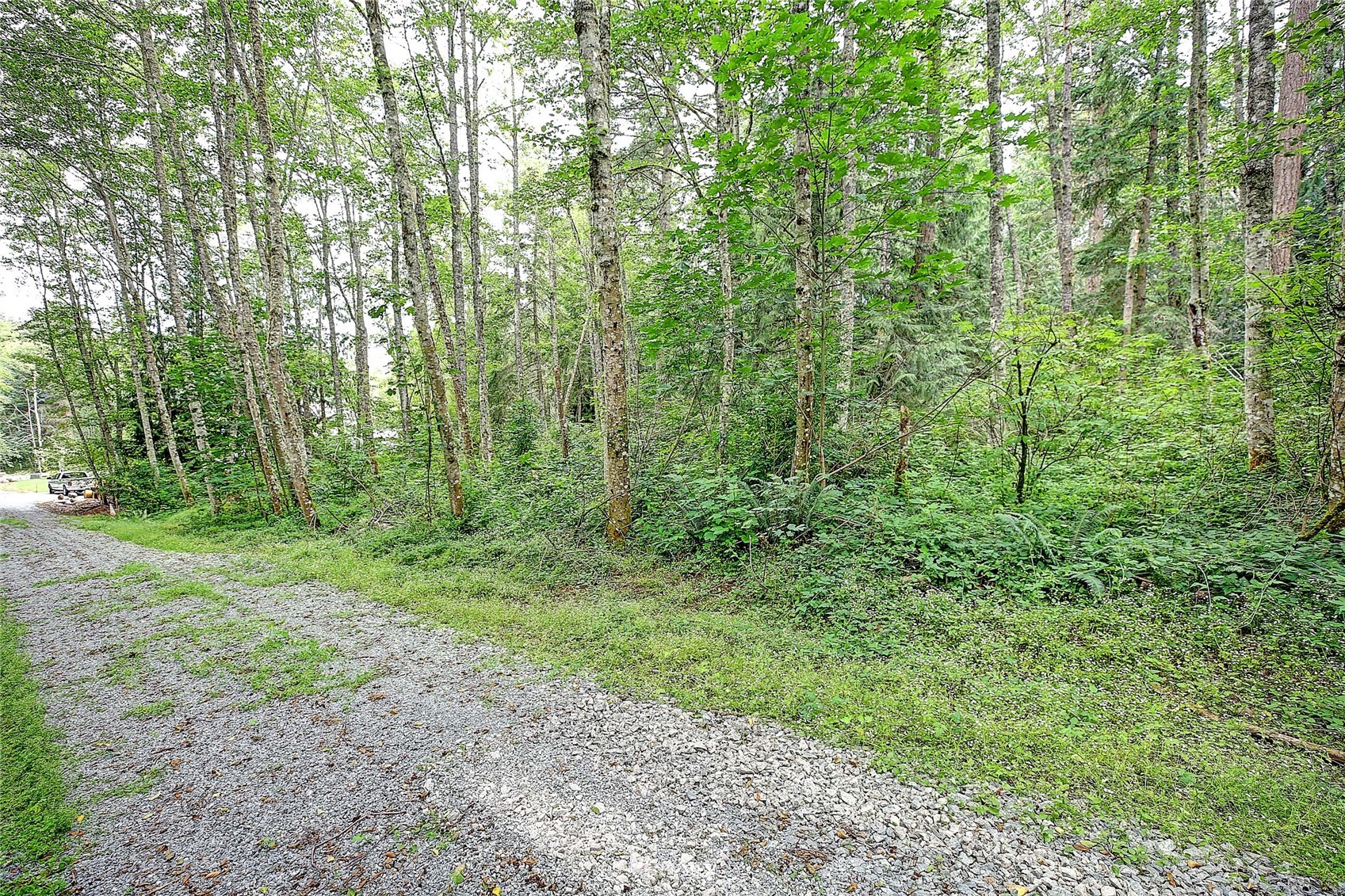 523 South Camano Ridge Road Camano Island, WA 98282 - Photo 10 of 16 Gallery Image 10