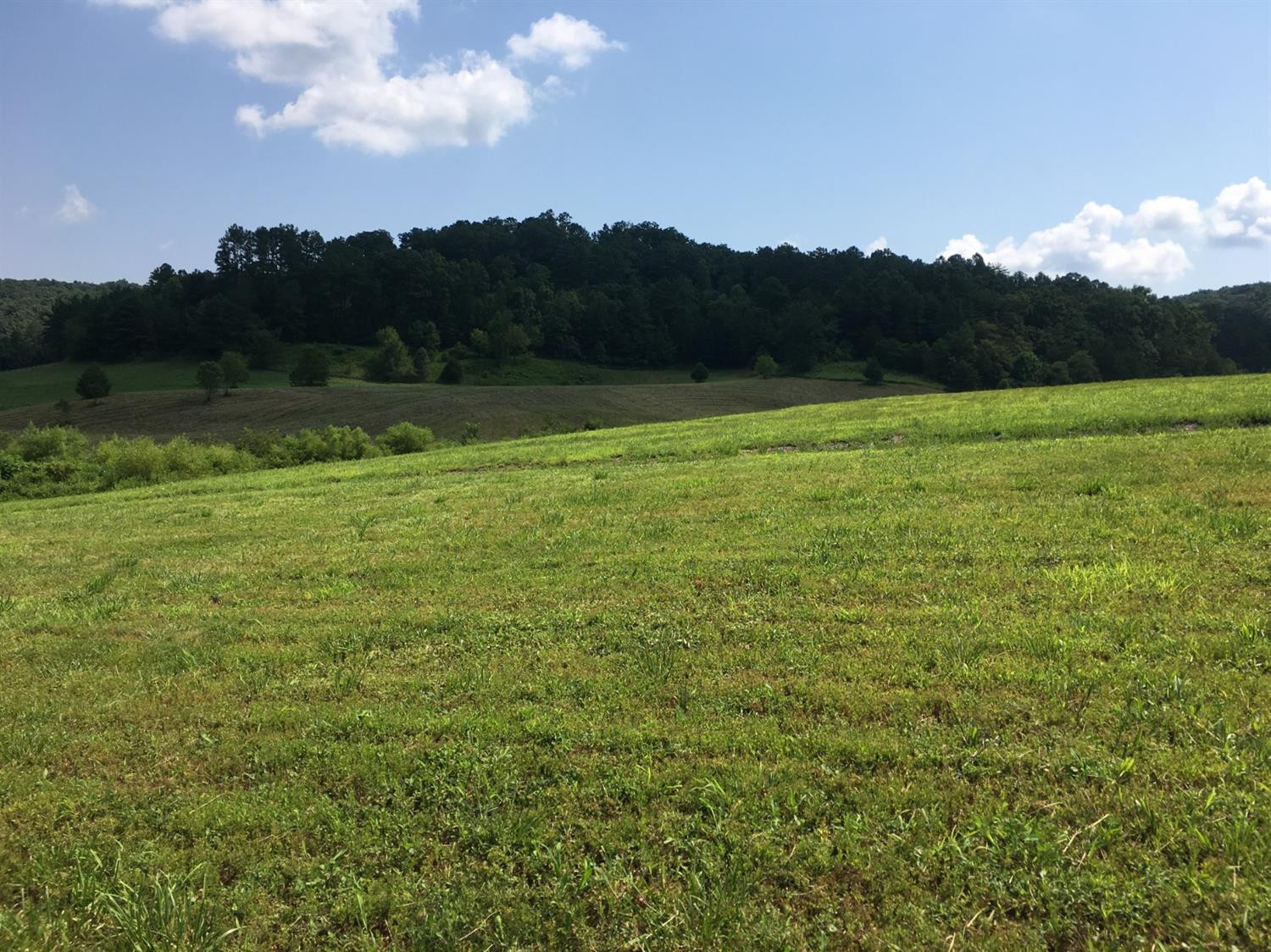 8181 Johnson Road London, KY 40741 - Photo 9 of 41 Photo 9