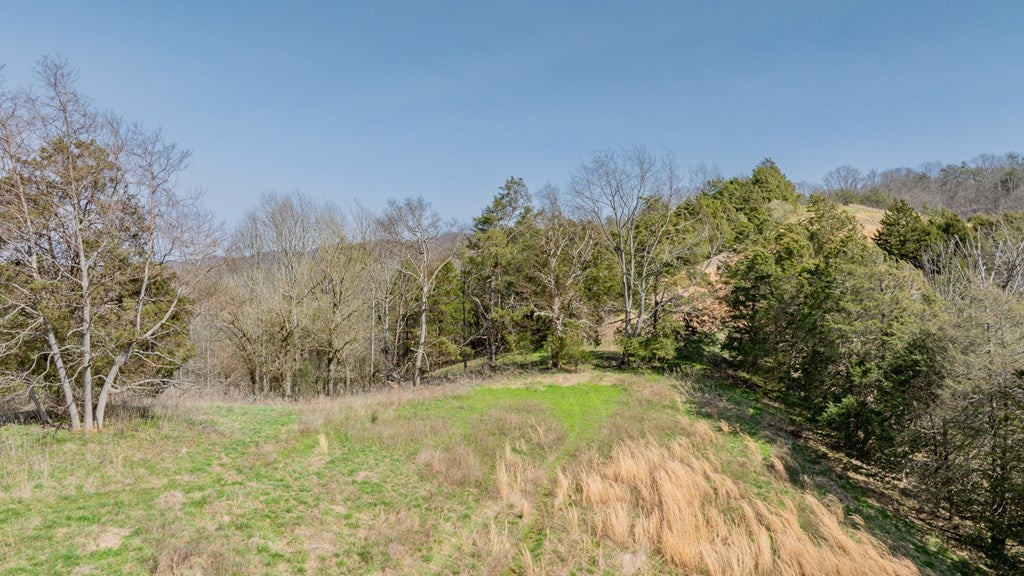 Tbd Keyhole Road Fort Blackmore, VA 24250 - Photo 8 of 16 Gallery Image 8