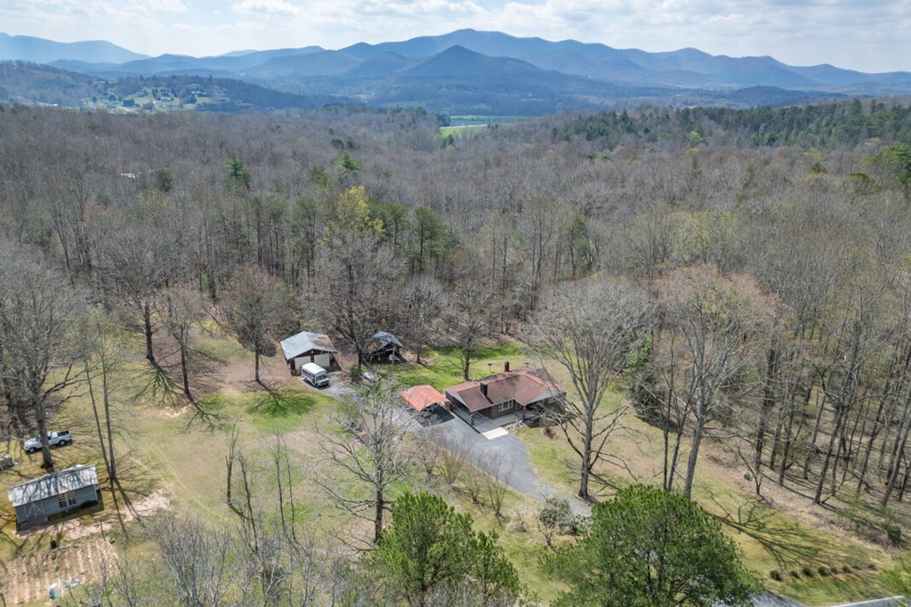 1266 Ford Road Warne, NC 28909 - Photo 62 of 62