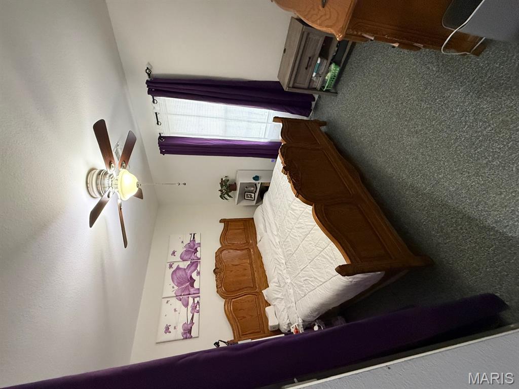 296 Ripley Route Doniphan, MO 63935 - Photo 7 of 14