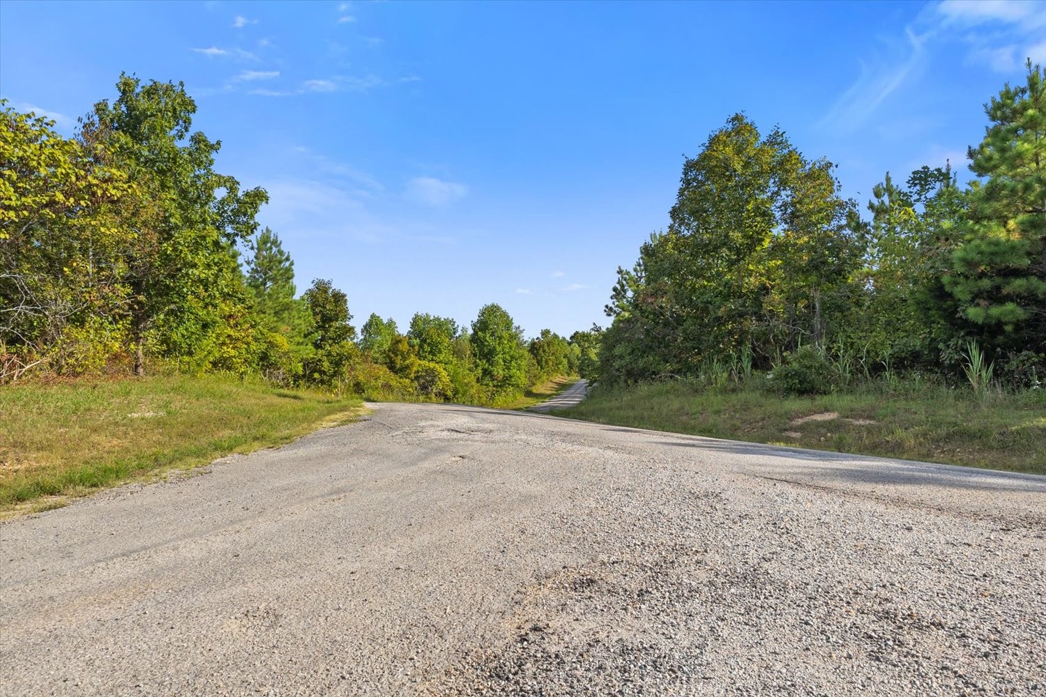 0 Kro Hollow Road Hohenwald, TN 38462 - Photo 14 of 14 a view of a yard with a tree