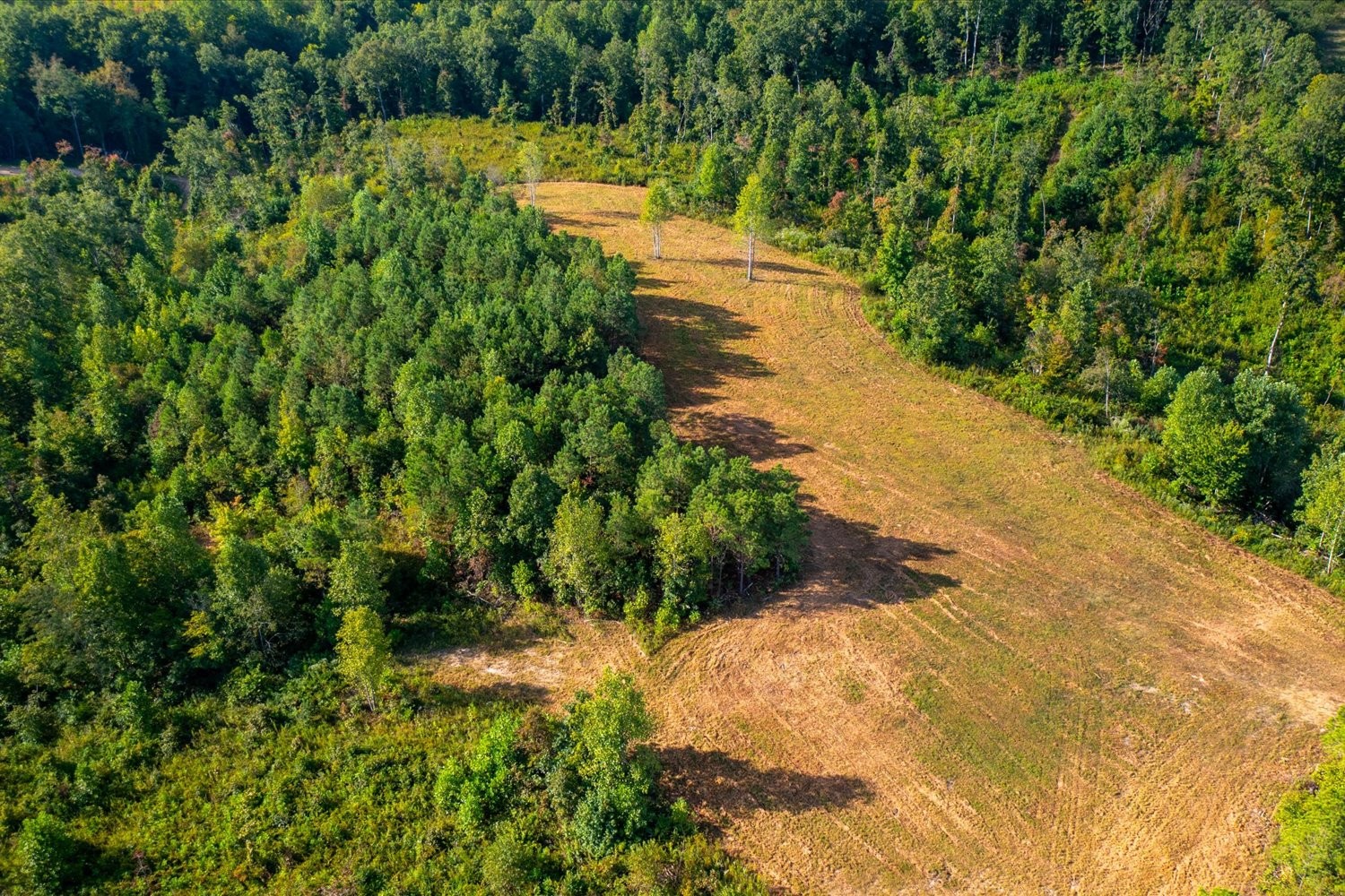 0 Kro Hollow Road Hohenwald, TN 38462 - Photo 2 of 14 a view of a lake with a yard