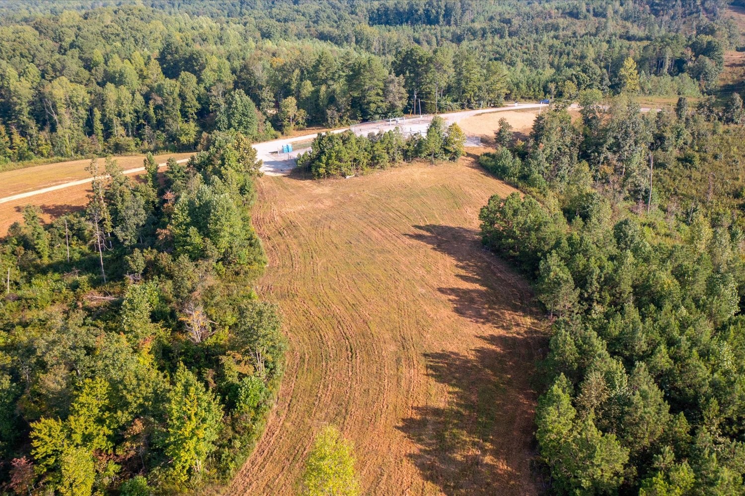 0 Kro Hollow Road Hohenwald, TN 38462 - Photo 7 of 14 a view of a yard with plants and large trees