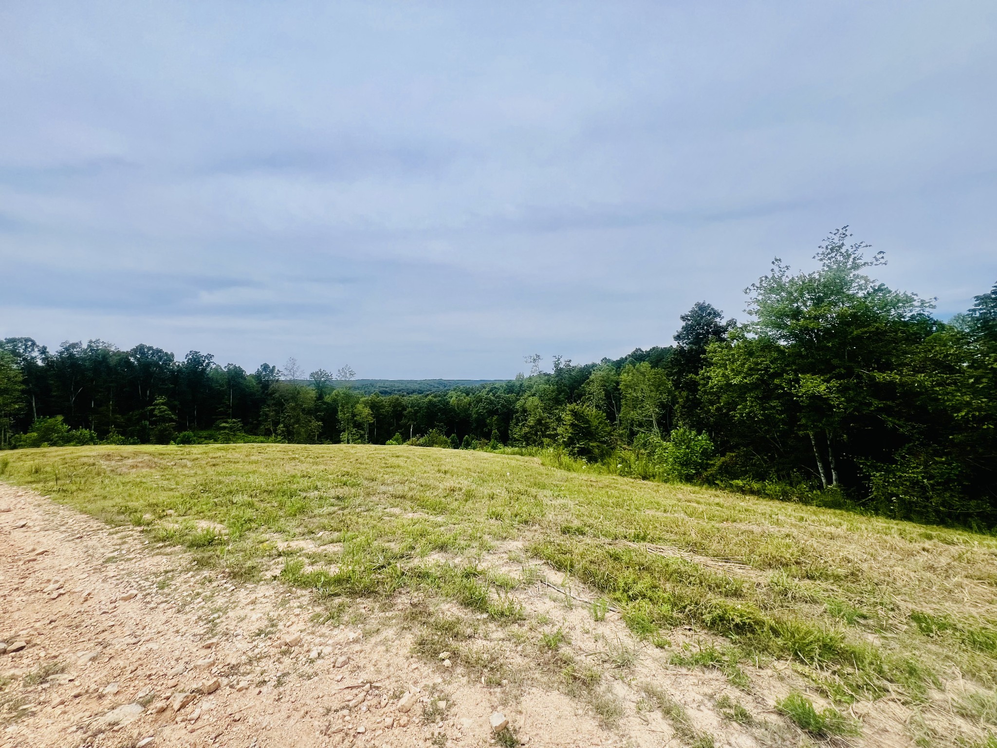 0 Kro Hollow Road Hohenwald, TN 38462 - Photo 8 of 14 a view of an outdoor space and a yard