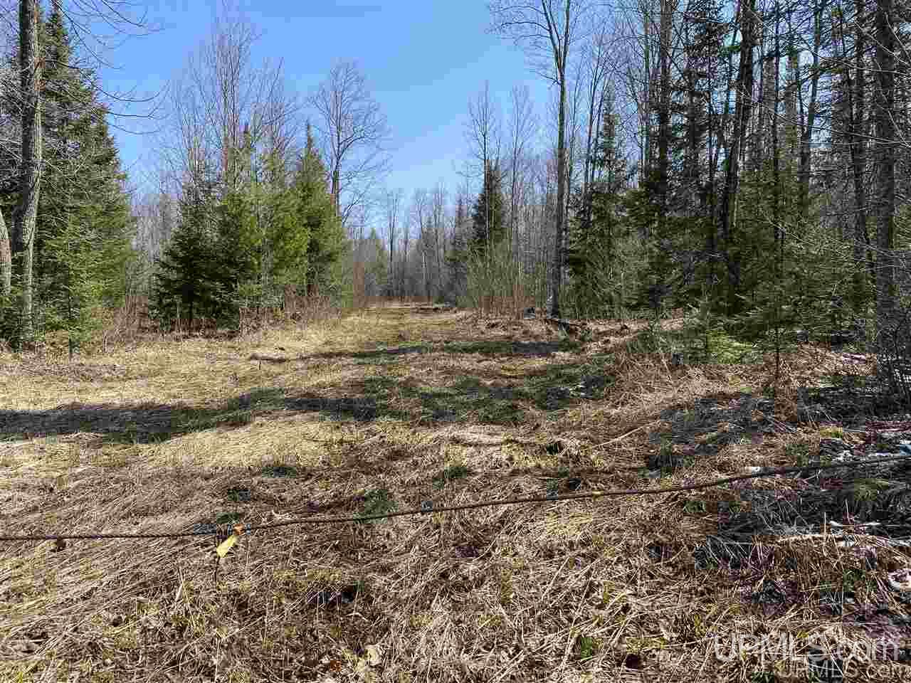 Off Nelson Road Glidden, WI 54527 - Photo 2 of 23