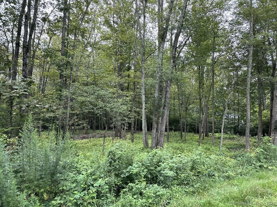 834 Hampton Road Pomfret, CT 06259 - Photo 2 of 2 a view of outdoor space and garden