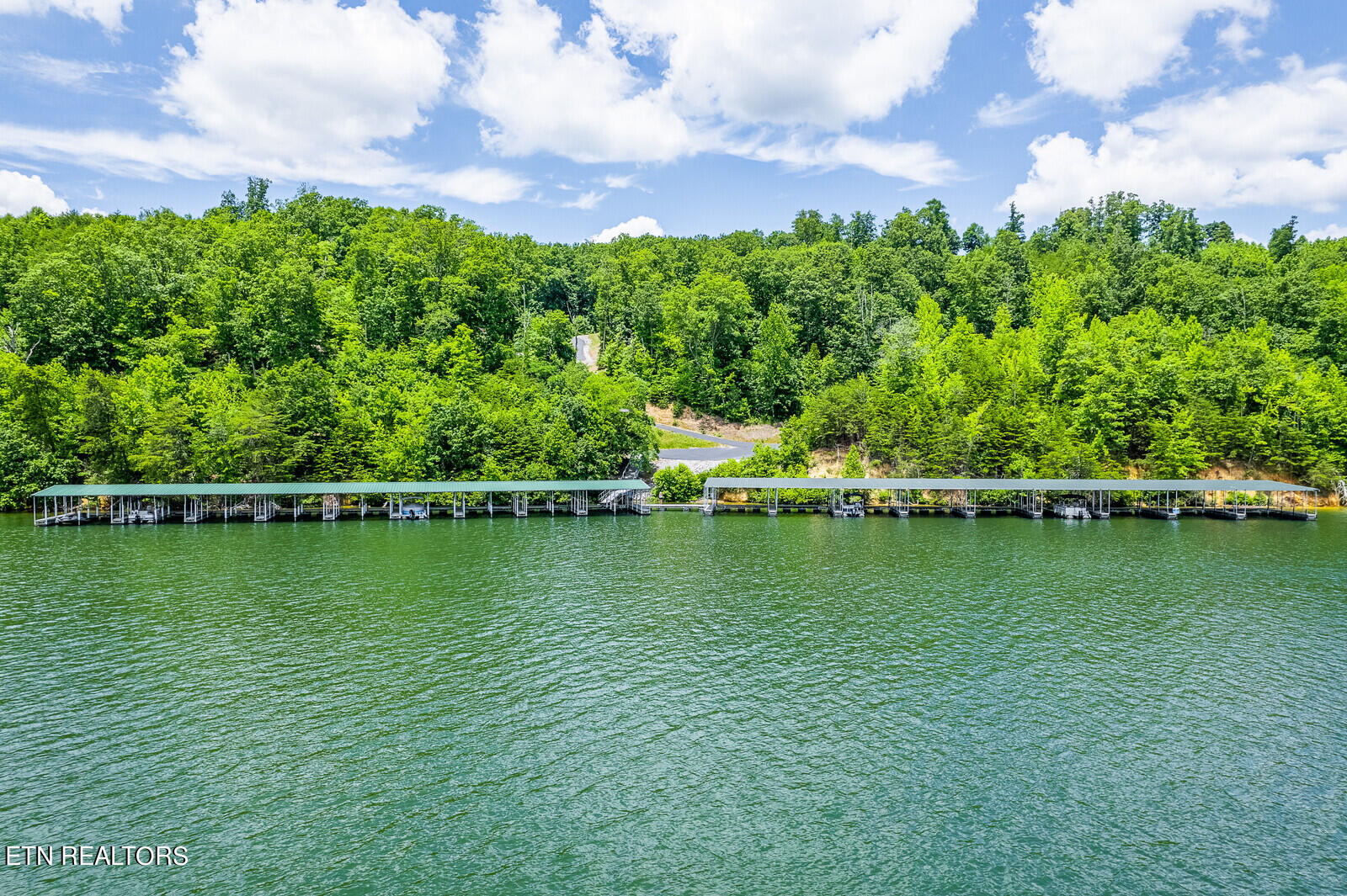 Rivermyst Dr Spring Spring City, TN 37381 - Photo 4 of 16 05_Boat_Dock_5_mls