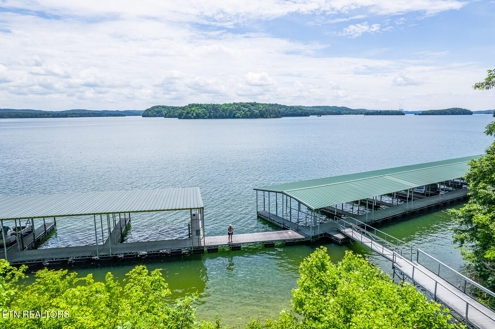 Rivermyst Dr Spring Spring City, TN 37381 - Photo 9 of 16 03_Boat_Dock_3_mls