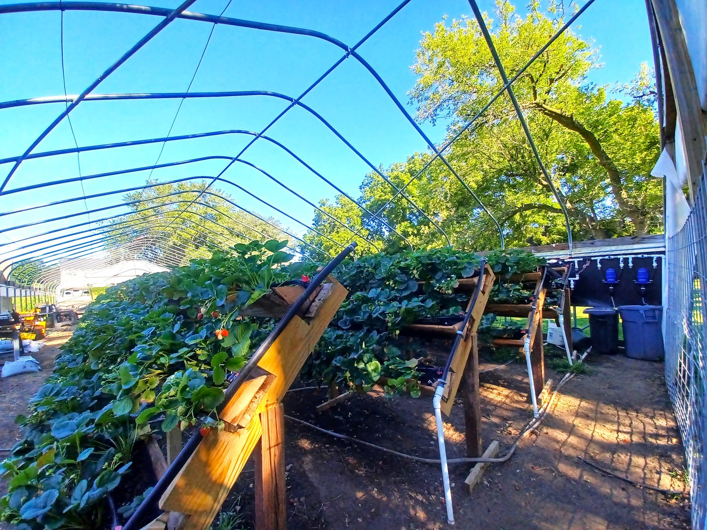 5215 Walkup Road Crystal Lake, IL 60012 - Photo 27 of 50