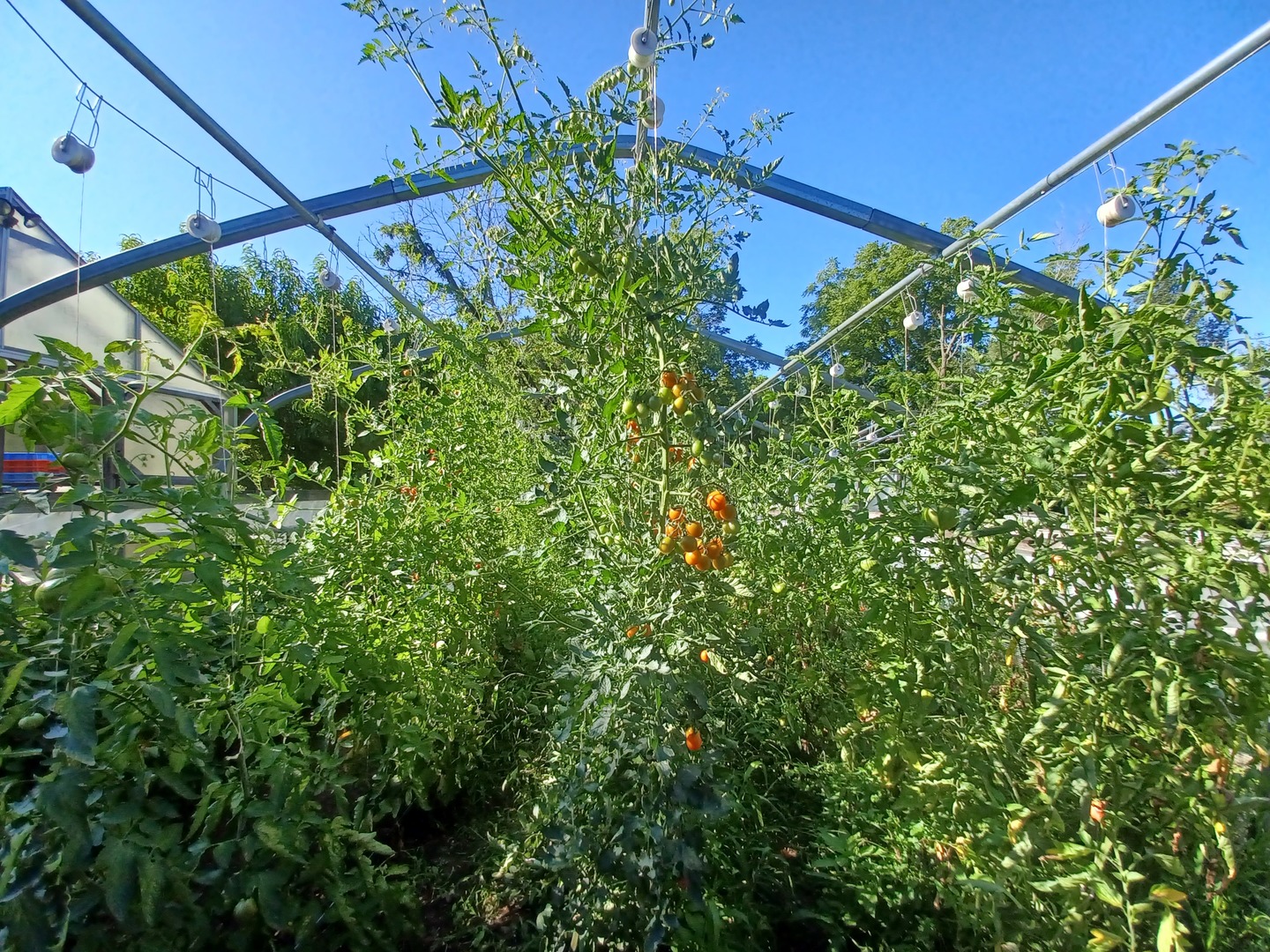 5215 Walkup Road Crystal Lake, IL 60012 - Photo 28 of 50